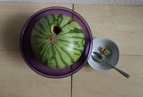 国外新瓜最新爆料,最新爆料震惊全球 第3张 国外新瓜最新爆料,最新爆料震惊全球 第3张